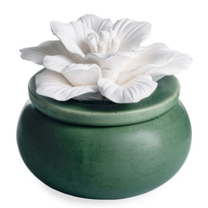 Porcelain Passive Diffuser-Bloom w/ Eucalyptus oil