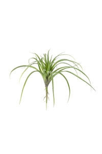 Large Artificial Air Plant