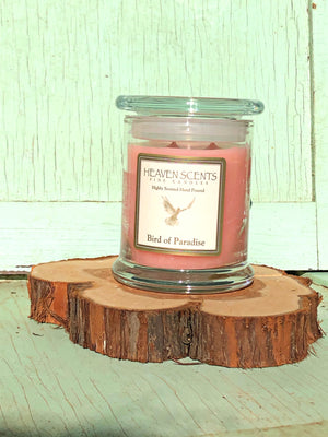 10 oz Candle- Birds of Paradise Scent