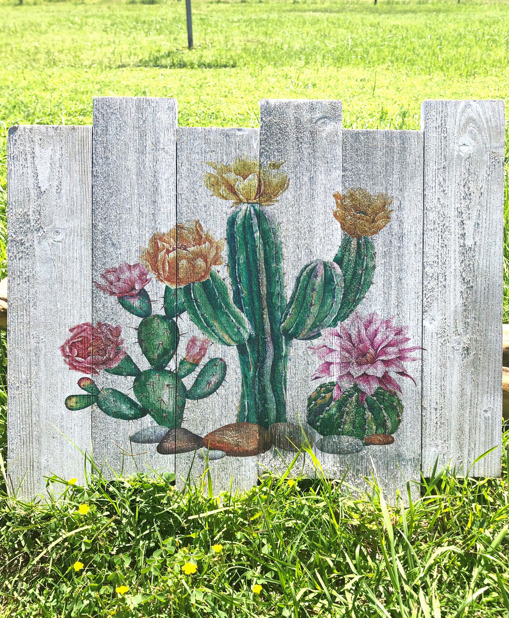 UV Printed Home Decor - Cactus Desert
