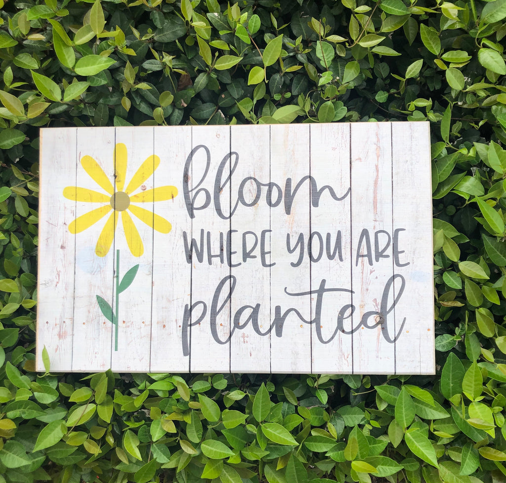 UV Color Handmade Decor- Bloom where you are planted w/ yellow flowers & chippy white background